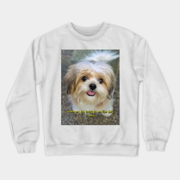 When my dog looks at me like this, I melt. Crewneck Sweatshirt by likbatonboot